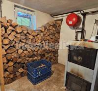 Boiler room of a family house with wood, a boiler, and a blue crate on the floor.