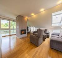 Living room in a family house with a fireplace, sofa, armchairs, and a view of greenery.