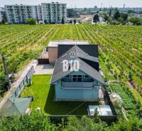 A family house in Bratislava - Nové Mesto surrounded by vineyards and nearby apartment buildings.