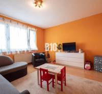 Living room in a 3-room apartment with orange walls, a sofa, and a children's corner.