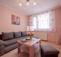 Living room with a gray sofa and a painting, 3-room apartment.