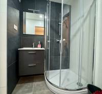 Bathroom with a shower and a mirror in a 3-room apartment.