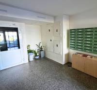 The entrance hall of a two-room apartment with mailboxes and plants in the corridor.