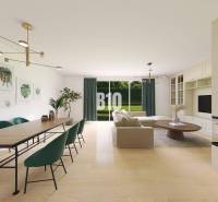 Living room and dining area in a family house with a fireplace and a large table.