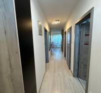 A hallway in a family house with wooden flooring and modern lighting.