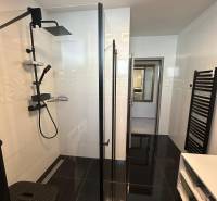 A bathroom with a shower, black tiles, and storage spaces in a family house.