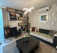 Living room in a family house, with an elegant chandelier, sofa, and shelves full of decorations.