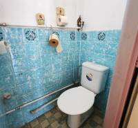 A bathroom in a family house with blue tiles and a toilet.