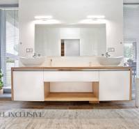 A bathroom in a family house with two sinks, a large mirror, and a decorative plant.