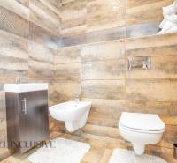 A bathroom in a family house with a sink, a toilet, and a decorative figurine on a shelf.