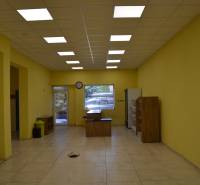 Yellow walls, ceiling lighting, furniture, and entrance doors in commercial premises.