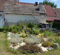 A garden at an older house with vegetation and gravel flower beds in Borský Svätý Jur.