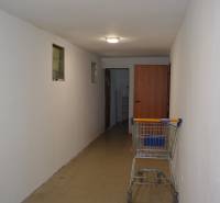 Narrow interior of commercial premises with a shopping cart and ceiling lighting.