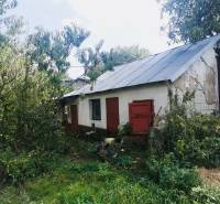 A family house in Sobrance surrounded by dense greenery, with old plaster and red doors.