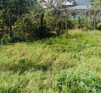 A garden at a family house in Sobrance with grass and trees.