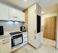 A kitchen in a 2-room apartment with wooden cabinets and custom appliances.