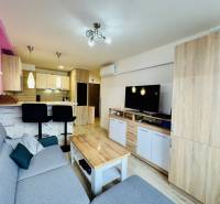 Living room in a two-room apartment with a kitchenette, sofa, and television.