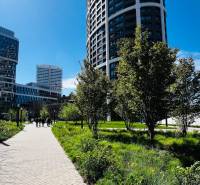 High-rise buildings among greenery on Továrenská Street in Bratislava - Old Town.