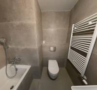 Bathroom with a shower bath, toilet, and ladder radiator in a 2-room apartment.