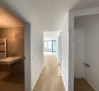 A hallway with an entrance to the bathroom and a view into the living room in a 2-room apartment.