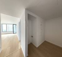 A bright hallway in a 2-room apartment with wooden flooring and a large window.