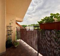 A balcony with plants in a 3-room apartment in Nitra, overlooking greenery.