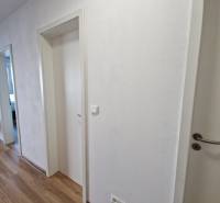 Hallway in a 2-room apartment, white doors and wooden floor, modern furniture in the background.