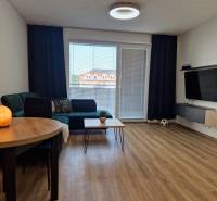 Living room with a comfortable couch, wooden table, and television in a two-room apartment.