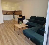 Living room with a kitchenette, sofa, and wooden floor in a two-room apartment.