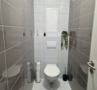 Bathroom with a toilet in a 2-room apartment, with dark gray tiles on the walls.
