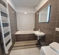 Bathroom in a 2-room apartment with a bathtub, sink, mirror, and ladder radiator.