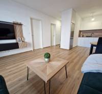Living room and kitchen in a 2-room apartment with wooden flooring and a wall-mounted television.