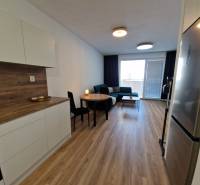 Kitchen and living area in a 2-room apartment with wooden flooring and a sofa.