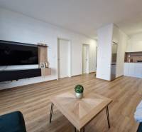 Living room in a 2-room apartment with a television, wooden floor, and kitchenette.