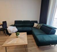 A comfortable sofa in a 2-room apartment with a wooden table and a houseplant.