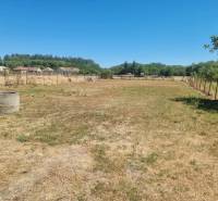 A spacious plot with a grassy surface and fencing in Ipolyvec for a family house.