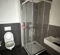 Bathroom with a toilet, shower, and sink in a 2-room apartment.