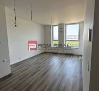 Spacious room in a 2-room apartment with large windows and laminate flooring.