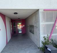 The entrance to the building on Labutia Street in Bratislava V with pink elements.