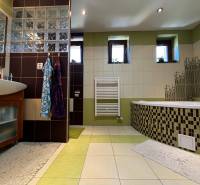 A bathroom with a bathtub and a sink in a family house, with tiles combining green and brown colors.