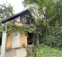 A family house in Branč surrounded by trees, vine on the facade, and a satellite dish.
