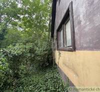 A family house in Branč surrounded by dense vegetation and green plants.
