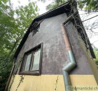 A family house in Branč with plaster, climbing plants, and wooden windows.