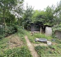 An overgrown garden by a family house in Branč with an old wooden shed.
