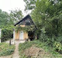 A family house in Branč amidst green nature, surrounded by trees and shrubs.