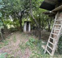 The garden of a family house in Branč with a gazebo, a wooden ladder, and a dense growth of trees.