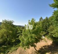 A forest landscape near a cottage in Bytča surrounded by trees and green hills in the distance.