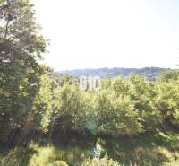 A wooded landscape near a cottage in Bytča, sunlight streaming through the trees.