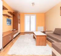 Living room in a two-room apartment with a sofa, furniture, and a painting on the wall.