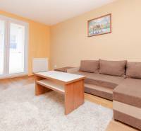 Living room in a two-room apartment with a brown sofa, a table, and a WINDOW to the balcony.